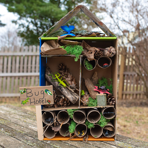 Bug Hotel Workshop (Ages 5+)