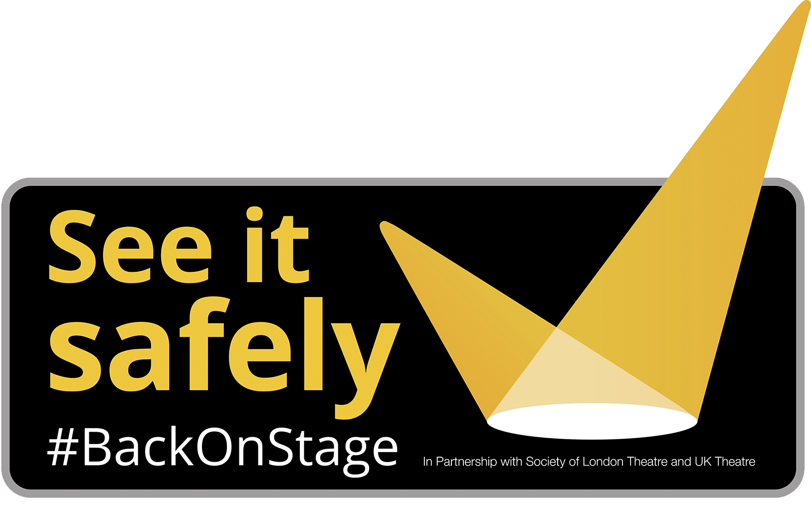 See it safely logo