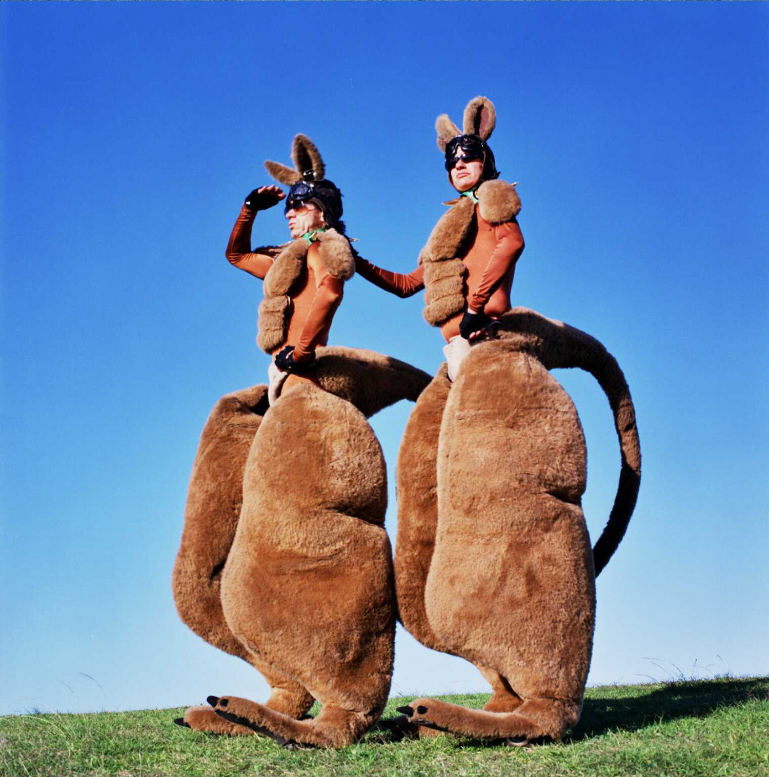 Two people dressed as giant kangaroos