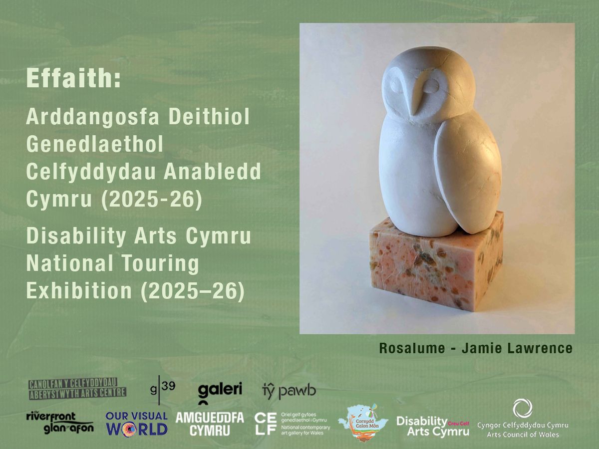 Disability Cymru.jpg