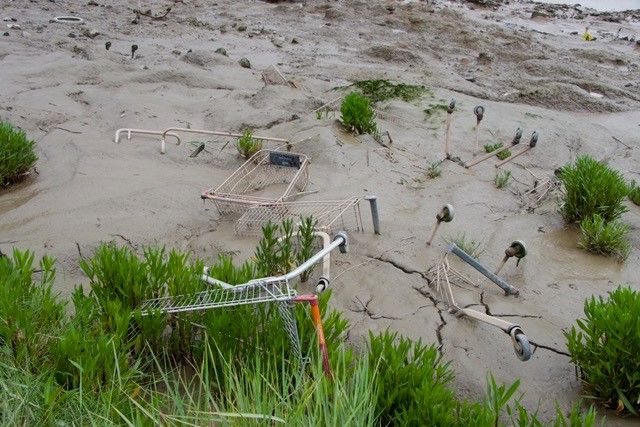 Shopping trolley in mud.jpg
