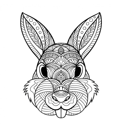 Gary Yeung Art Workshops ‘Zentangle Animals’ Fineliner and Coloured Pencil Workshop (10-14 yrs)