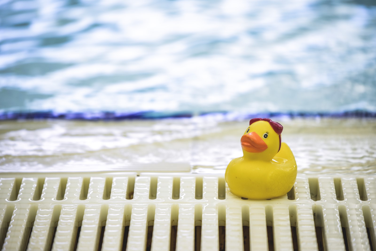 rubber duck on the side of a pool
